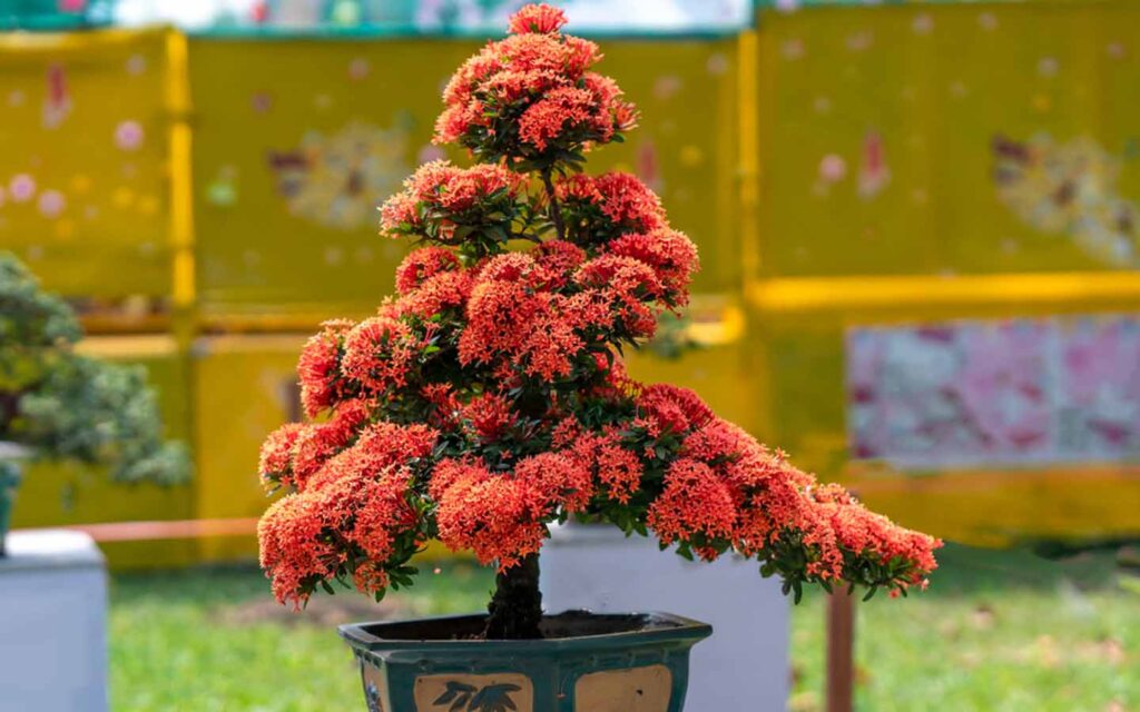 10 Cara Merawat Tanaman Hias yang Mudah dan Efektif Untuk Pemula