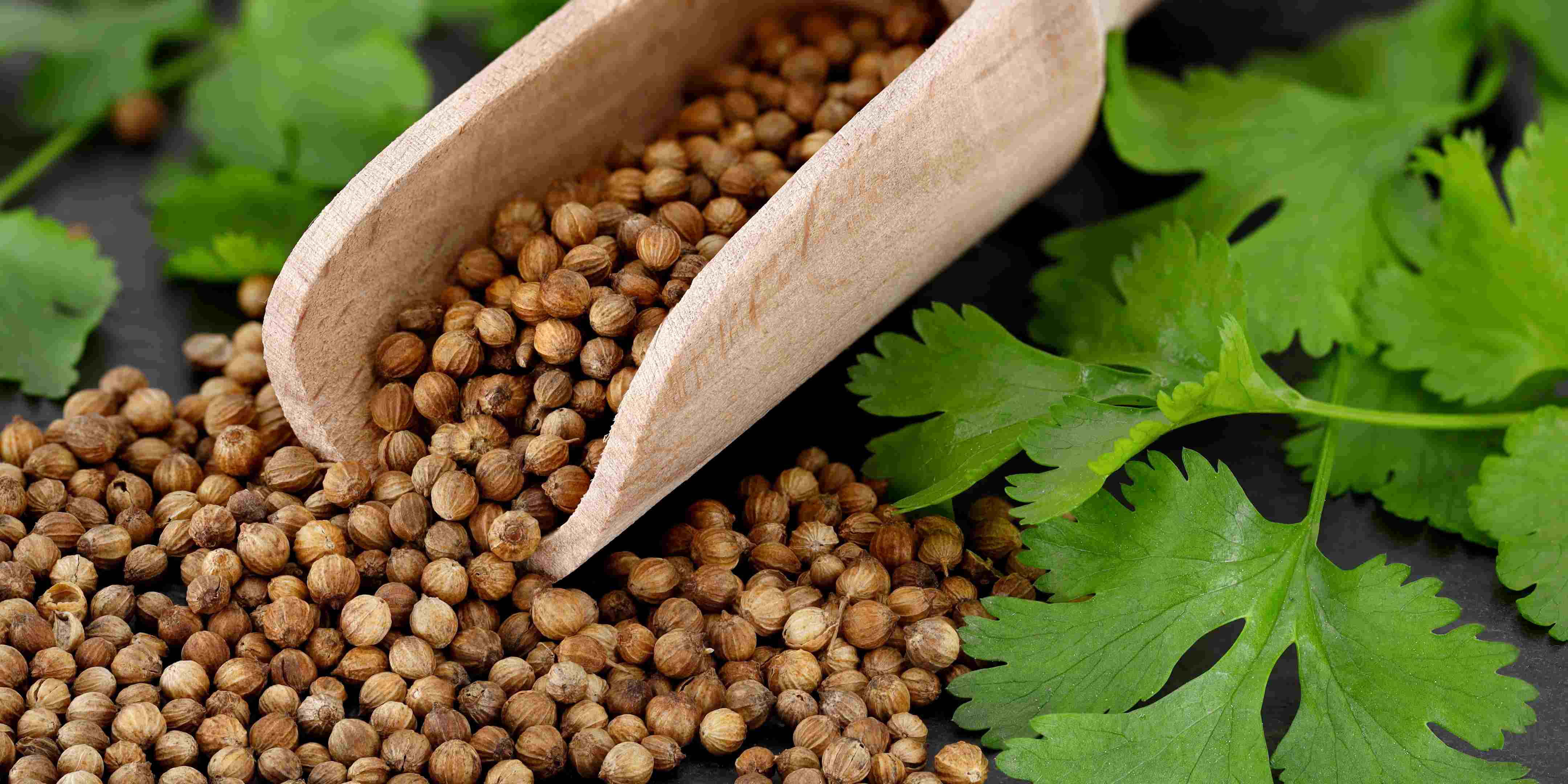 1.800 Atlet ikuti KlikDokter Run Fest 2022 , Gelorakan Semangat #JagaSehatmu Sambil Wisata